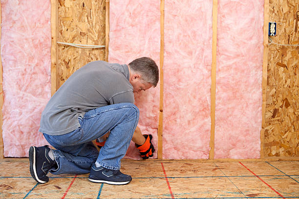 Best Blown-In Insulation  in Thonotosassa, FL